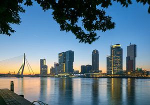 Rotterdam se réveille