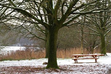 Bänke Bänke Bänke von snippefotografie