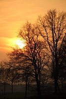 Ondergaande lente zon