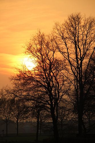 Ondergaande lente zon