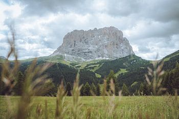 Langkofel in den Dolomiten