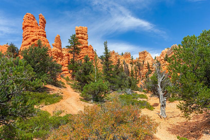 Red Canyon, Utah, United States by Henk Meijer Photography