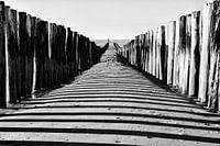 Breakwaters on the beach of Domburg