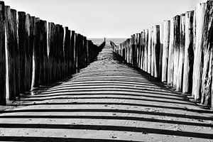 Brise-lames sur la plage de Domburg sur Floris Kok