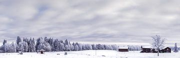 Winter van Hamperium Photography