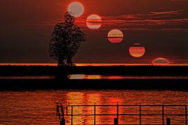 Une heure de coucher de soleil à Lelystad