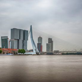 Rotterdam Erasmusbrug van Geertjan Kuper