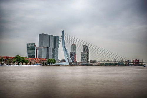 Rotterdam Erasmusbrug