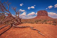 Monument Valley, Merrick Butte, Utah par Sander Sterk Aperçu