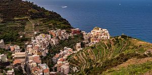 Manarola