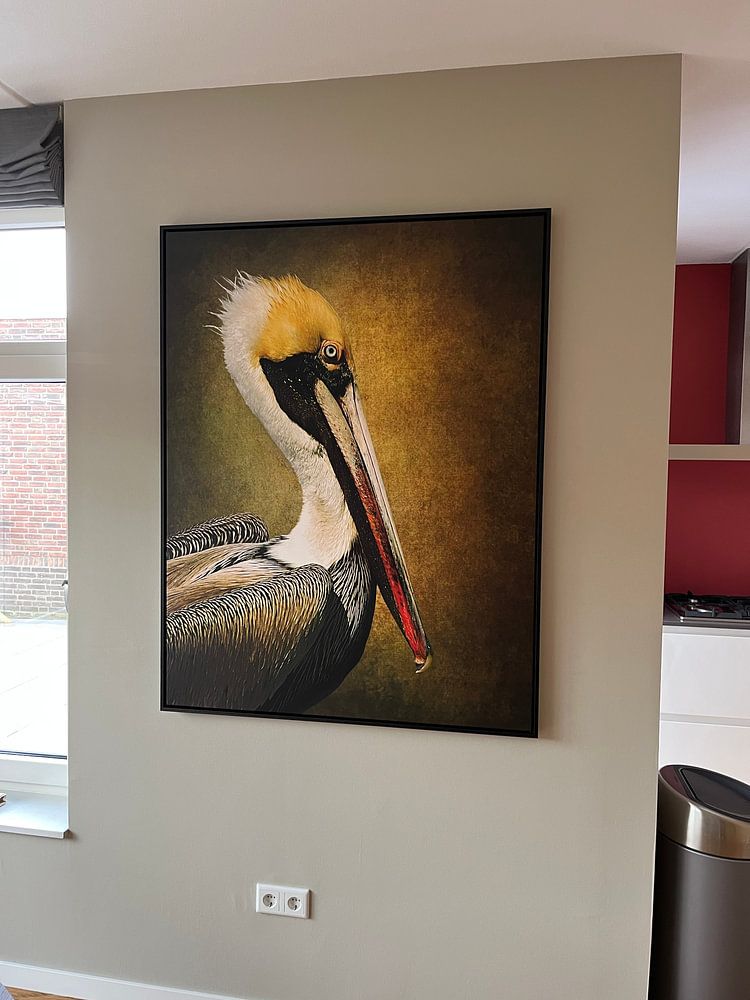 Portrait Of A Pelican  by Diana van Tankeren 