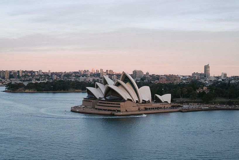 Sydney by Hello Pompoyo