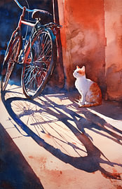 Katze in der Sonne neben einem alten Fahrrad von Lauren Wilde
