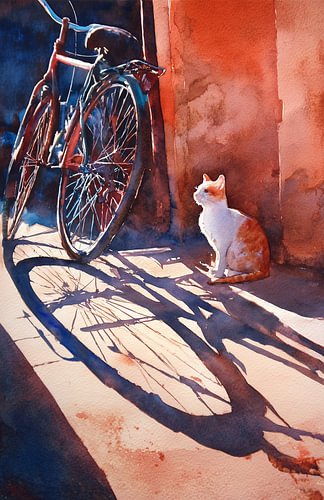 Kat in de zon naast een oude fiets