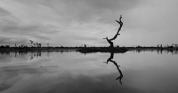 Zwart-witte weerspiegeling in meer van Awid Safaei