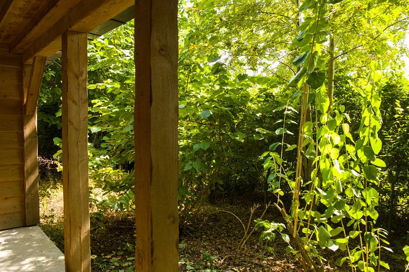 Sommer auf der Veranda von Stobbe; stiltegrafie