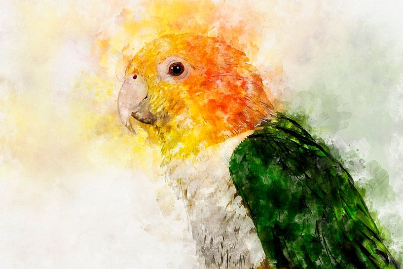 Caique portrait by Elles Rijsdijk