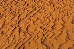 The beauty of the desert