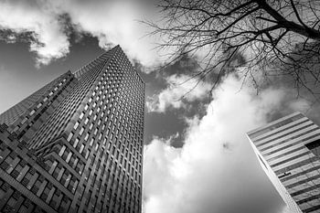 Skyscraper