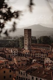 tower of lucca by Jordy Talboom