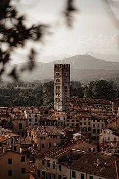 turm von lucca