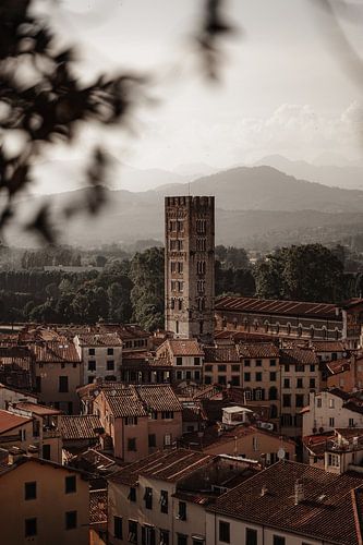 tower of lucca