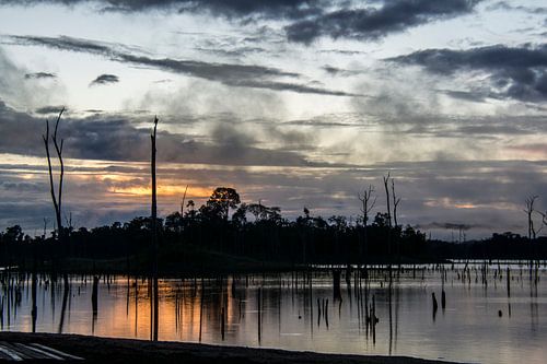 Nebel und aufkommende Sonne am Stone Island
