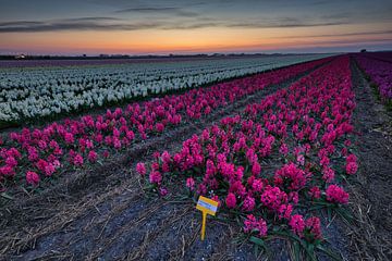 Zachte lucht bij zonsopkomst van peterheinspictures