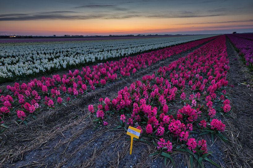 Soft air at sunrise by peterheinspictures