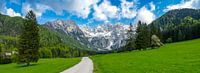Alpen landschap vallei in de lente van Sjoerd van der Wal Fotografie thumbnail