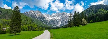 Alpen landschap vallei in de lente