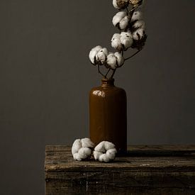 Foto von Baumwolle in brauner Keramikvase von Jenneke Boeijink