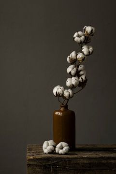 Foto print | Stilleven van een katoentak in aardewerk vaas | botanisch van Jenneke Boeijink