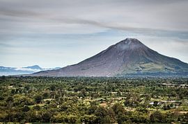 Grand panorama sur la vallée et son volcan sur Frank Photos