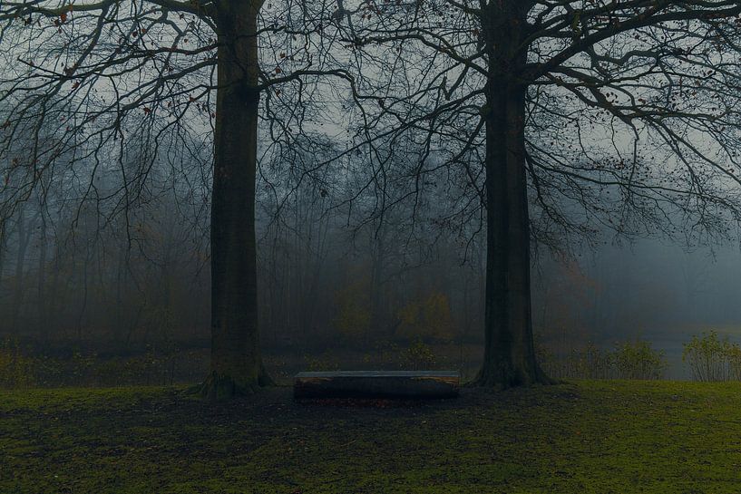 park bench in misty autumn by it's a Boone thing