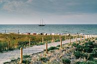 Strand von Boltenhagen: Das Segelschiff! von Momentaufnahme | Marius Ahlers Miniaturansicht