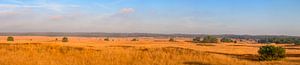 Asselsche Heide Panoramablick über die weiten Ebenen während