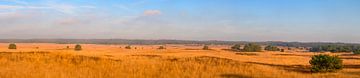 Vue panoramique de l'Asselsche Heide sur les grandes plaines ouvertes pendant sur Sjoerd van der Wal