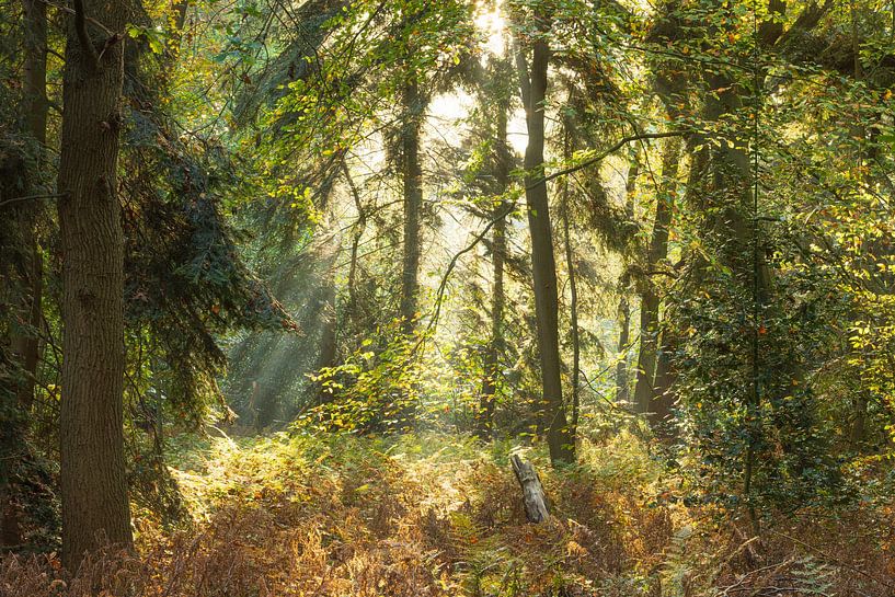 Fraeylemaborg estate - Groningen (Netherlands) by Marcel Kerdijk