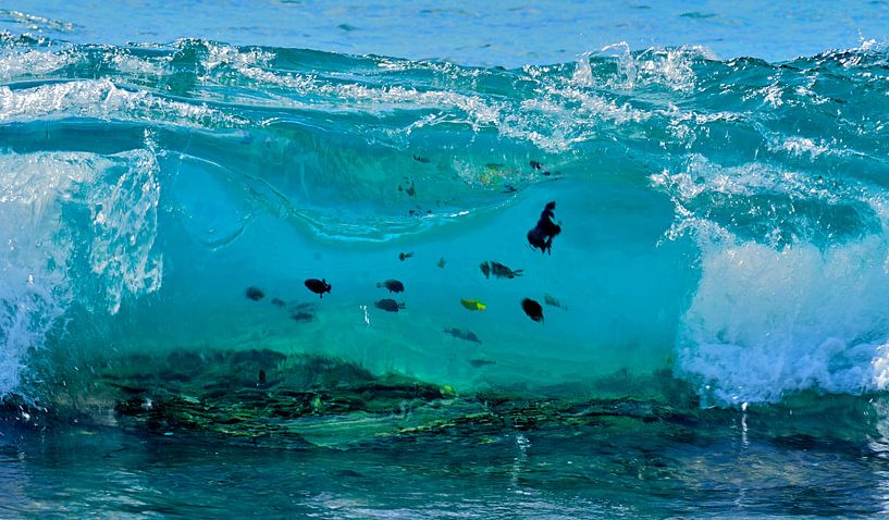 Golf sur la Grande île d'Hawaï par Unieke natuurfoto's