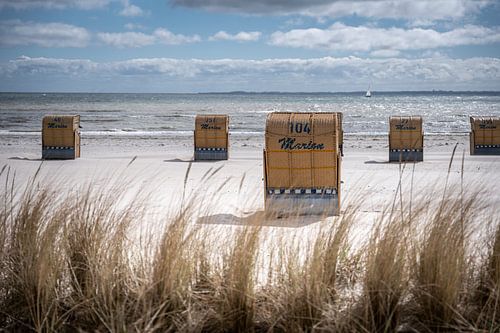 Longing for a holiday