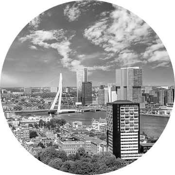 Fantastische Rotterdam Impressie | Panorama Monochroom