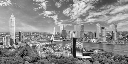 Fantastische Rotterdam Impressie | Panorama Monochroom