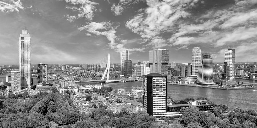 Fantastische Rotterdam Impression | Panorama Monochrom von Melanie Viola