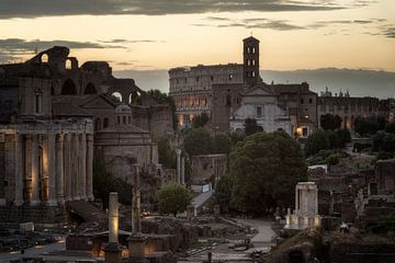 Het Colosseum van Roy Poots