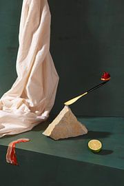 Main Course by Gonzalo Baró