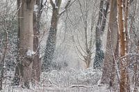Winterlandschaft