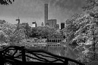 New York   Central Park van Kurt Krause thumbnail