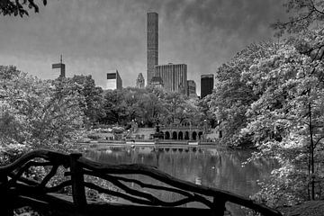New York   Central Park von Kurt Krause