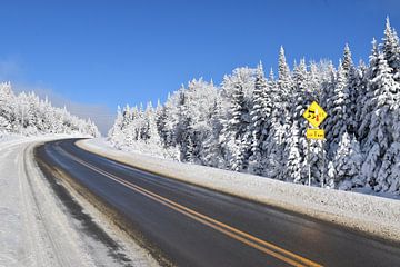 Eine Landstraße im Winter von Claude Laprise